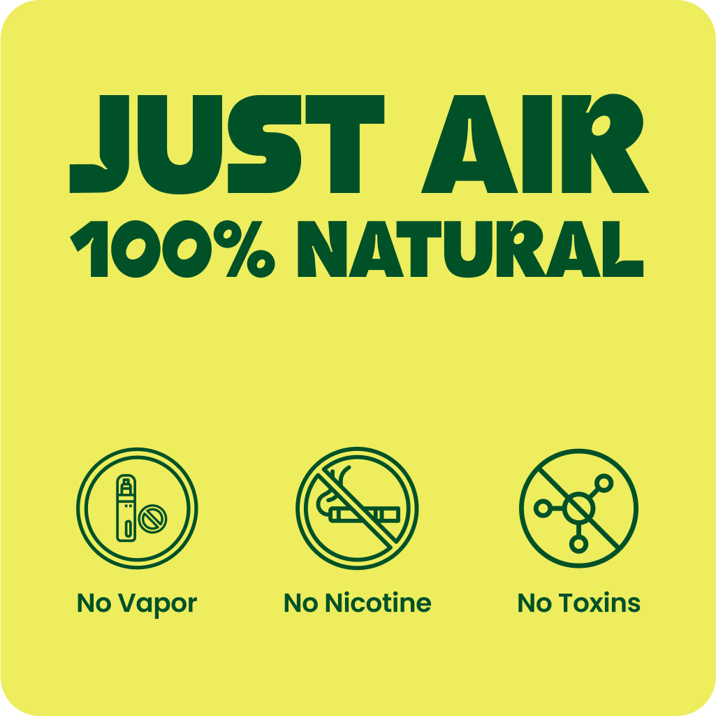 Lio® Journey Pack